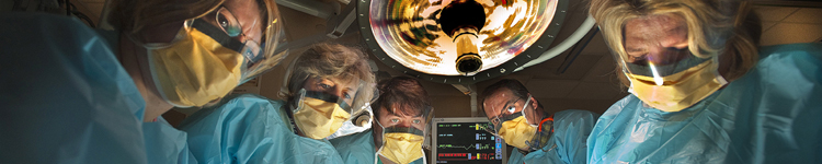 LSU HCSD Banner Image