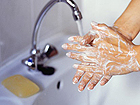 Wash Hands